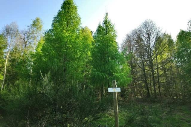 Apartmán Au Coeur Des Sapins Abreschviller Exteriér fotografie